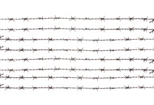 Barbed Wire , Isolated On White Background