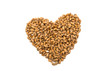 Heart of wheat grains isolated