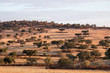 Dry landscape of Alentejo region.