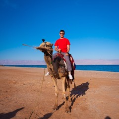 tour camel Egypt