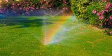 Fototapeta Natura - watering  sprinkler  lawn