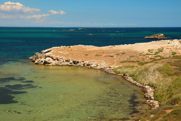 Wall Mural - Penguin Island, Western Australia