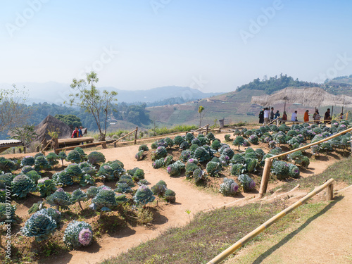 Fotografie, Obraz Landscape of Mon Cham hill ridge - Chiang mai,Thailand
