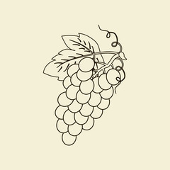 Grapes Fruit Icon