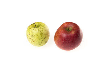 Two apples, young and old as a metaphor for aging. On a white background.