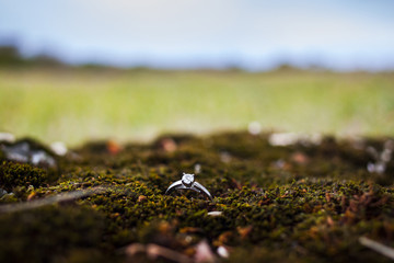 Manuela And Andy's Engagement Photoshoot