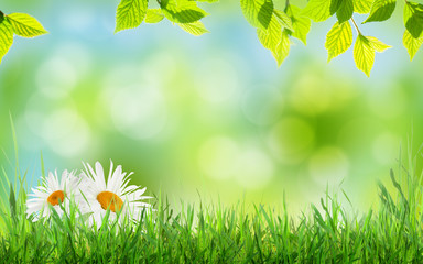 Poster - Abstract sunny spring background