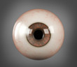 Realistic human eyeball brown iris pupil isolated
