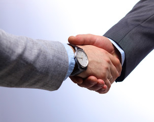 Business handshake. Two businessman shaking hands with each other in the office