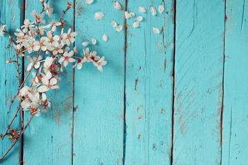 image of spring white cherry blossoms tree on blue wooden table
