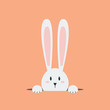 White easter rabbit