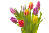 Fototapeta Tulipany - Strauß mit frischen Tulpen