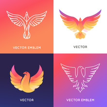 Vector Abstract Logo Design Template In Bright Gradient Colors