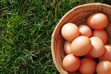 Fresh Organic Raw Eggs In Wood Basket
