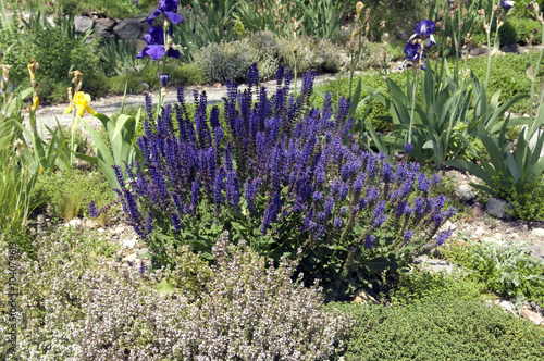 Steingarten Blumen Buy This Stock Photo And Explore Similar Images At Adobe Stock Adobe Stock