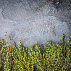 Wall Mural - Thyme sprigs on the stone table square