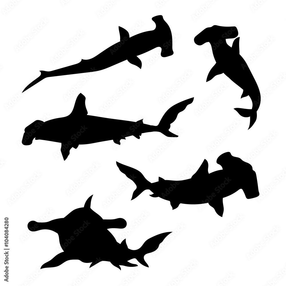 Hammerhead shark set vector - obrazy, fototapety, plakaty 