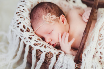 a baby who sleeps in a basket