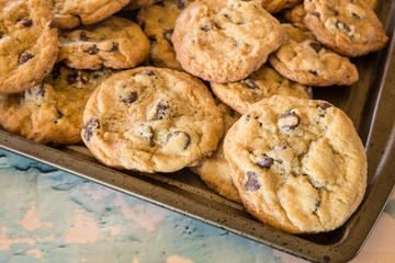 batch of homemade chocolate cookies on baking sheet 