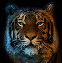 Digital Illustration Of A Bengal Tiger