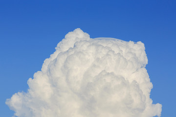 Wall Mural - fluffy cloud on clear blue sky
