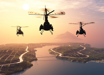 Wall Mural - Military helicopter