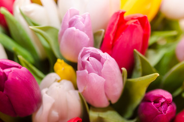  Bouquet of ..multicolored tulips