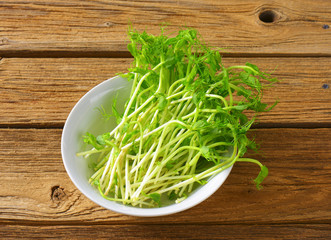 Canvas Print - Green pea shoots