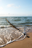 Fototapeta Morze - Breakwater of one row of wooden poles at the Sea coast