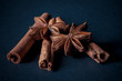 © Nattapol_Sritongcom - cinnamon sticks with filter effect retro vintage style
