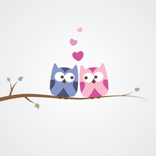 Owls In Love
