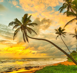 Wall Mural - sunset over the sea