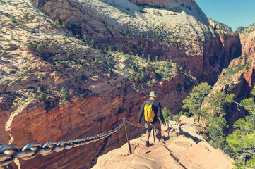 Wall Mural - Hike in Zion