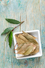 Canvas Print - bay leaf