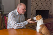 © Yuri Kravchenko - Mature man having conversation with basenji dog sitting at the table