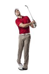 Wall Mural - Golf Player