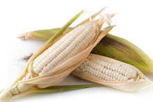 White Sticky Corn Isolated