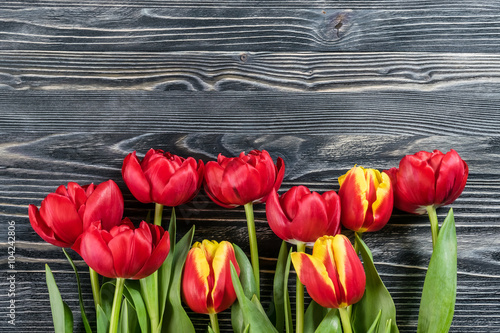 Naklejka nad blat kuchenny Holiday Tulip Flowers on Wooden Background