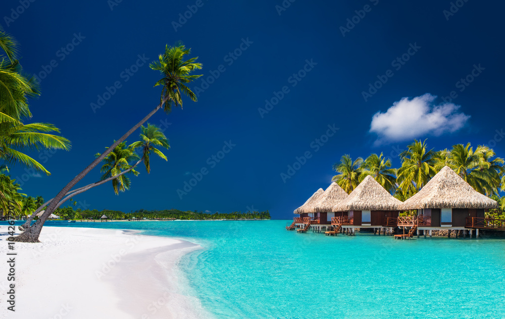Beach villas on a tropical island with palm trees and white beac - obrazy, fototapety, plakaty 
