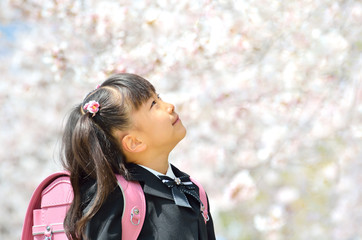 新一年生の女の子（桜）