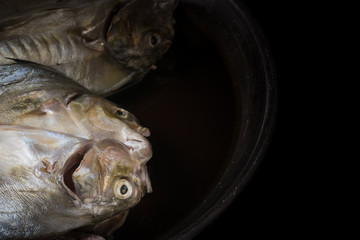 Wall Mural - Various types of dried fish sold in the sauce