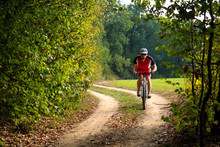 Rider On Mountain Bicycle It The Forest