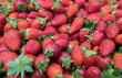 fresh strawberries at the city market