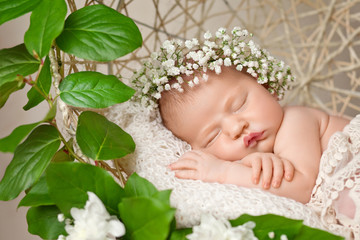 little newborn girl 11 days, sleeps. beautiful newborn girl and