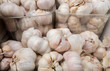 fresh garlic at the city market