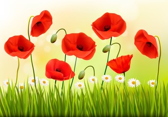 Poster - Green poppy background. Vector.