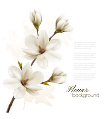 Poster - Spring background with blossom brunch of white magnolia. Vector