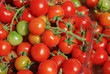 Cherry tomatoes at the market
