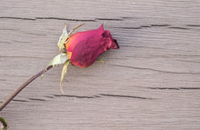Closeup Dried Red Rose On Old Wooden Table Texture Background