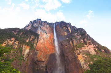 Wall Mural - Angel Falls, Venezuela